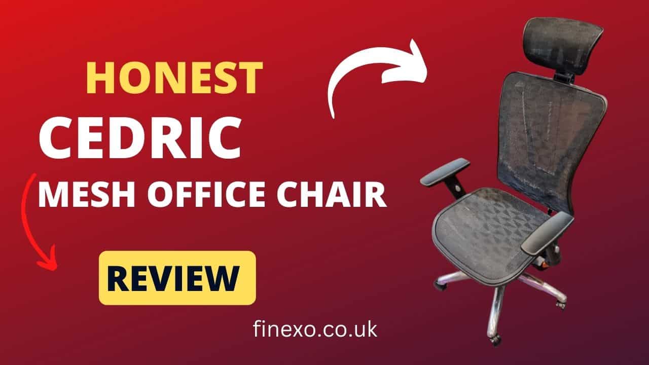 cedric ergonomic mesh office chair review