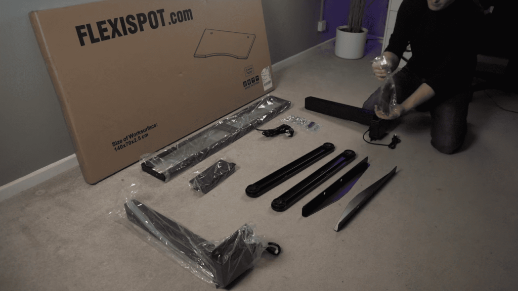 view of flexispot e5 delivery and assembly